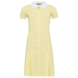 Banner Yellow Avon Gingham Summer Dress