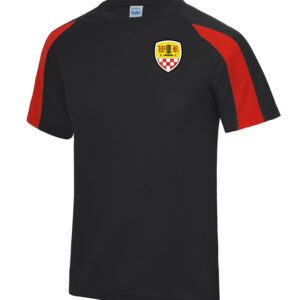 Wormley Youth FC Development Shirt